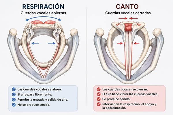 Clases de canto. María Jimena Ledesma